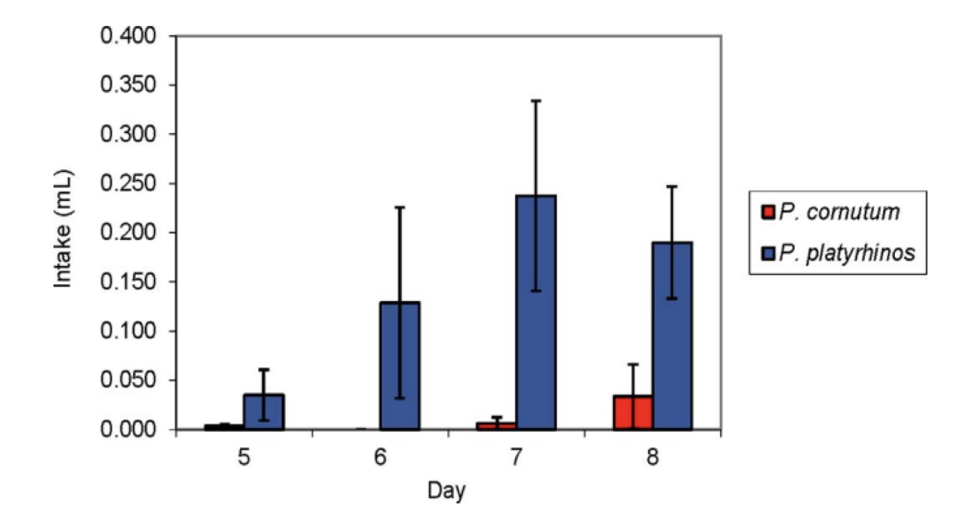 Mouse bioassay: P. cornutum vs. P. platyrhinos plasma